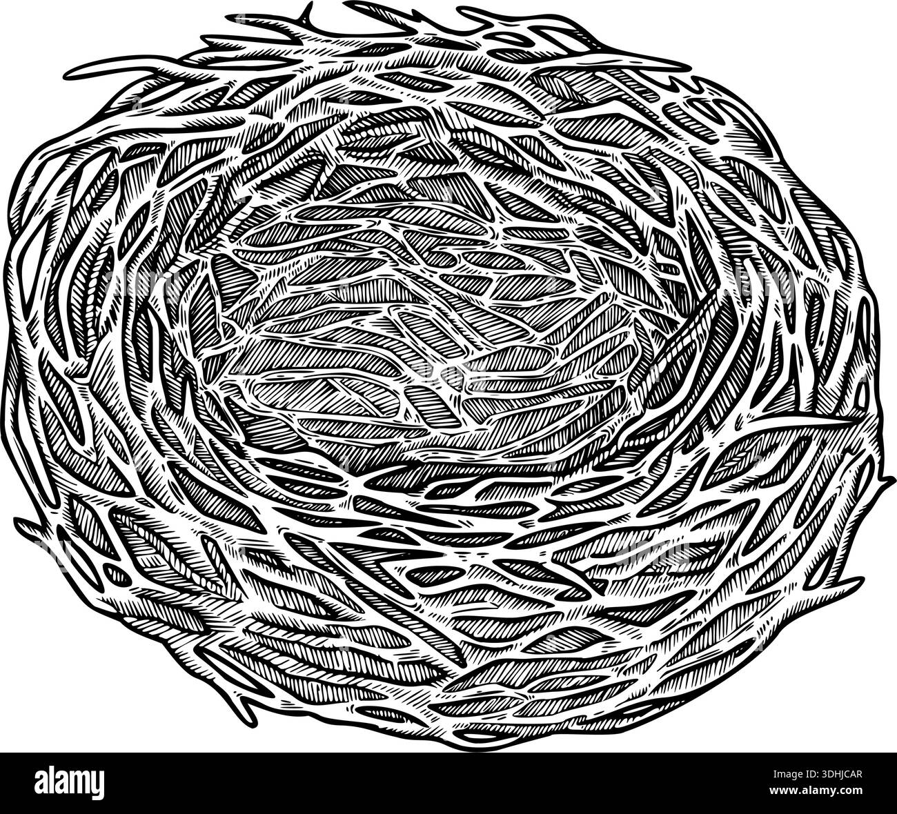 Leeres Vogelnest aus der Vintage-Osterskizze des Zweigs. Realistische handgezeichnete Vektorillustration mit feiner Textur. Perfekt für Schwarzweiß-Karten. Stock Vektor