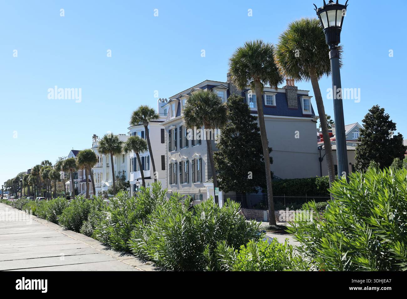 Palmen gesäumte historische Straße mit klassischer Charleston-Architektur und traditionellen Straßenlaternen unter einem klaren blauen Himmel in Charleston, South Carolina. Stockfoto