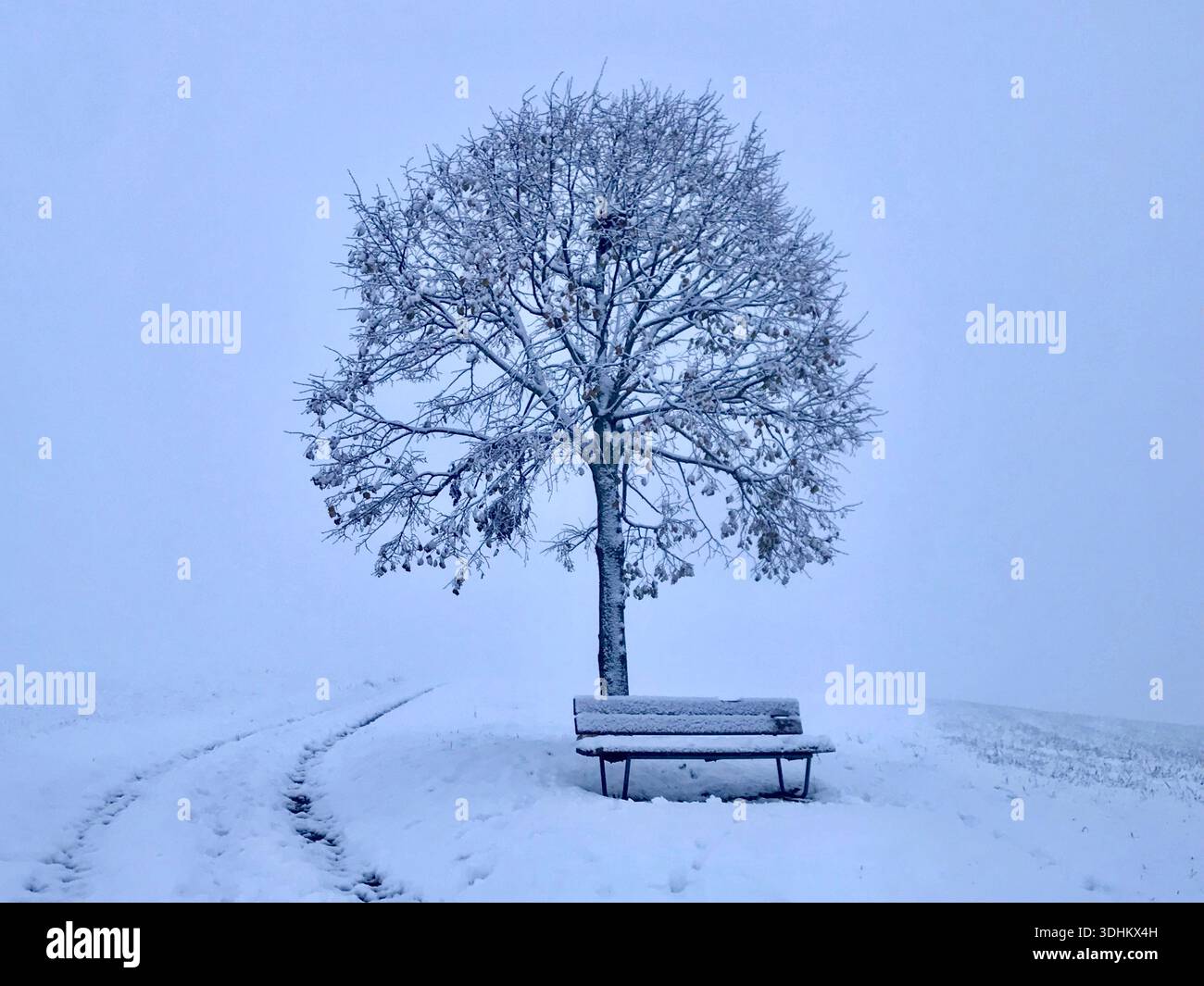 Eine ruhige und minimalistische Winterlandschaft mit einem einsamen Baum und einer schneebedeckten Bank, die ruhig in einer offenen Landschaft steht. Stockfoto