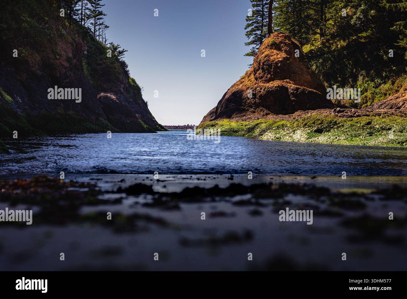 Beach by the Sea in Dead Mans Cove, Cape Enttäuschung State Park, Lewis and Clark Expedition, Washington USA Stockfoto