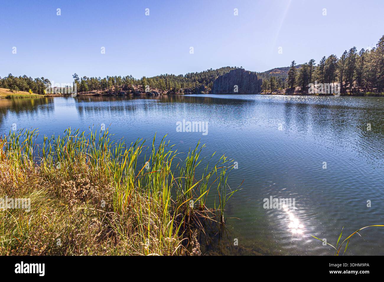 Wunderschöner Blick auf den Legion Lake vom Legion Lake Trail im Custer State Park in South Dakota. Stockfoto