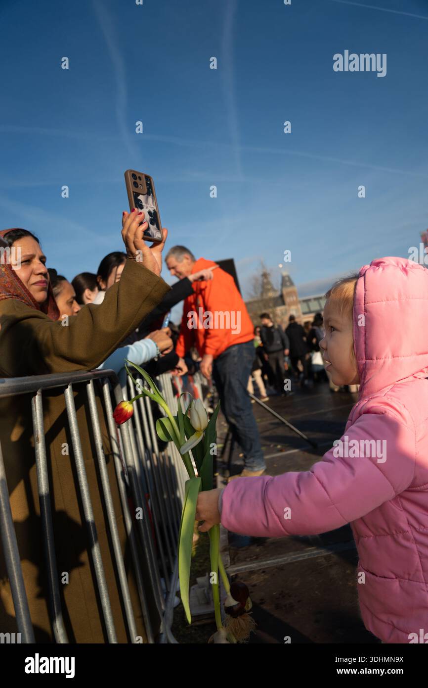 Ein Kleinkind in rosafarbener Pufferjacke gibt einem Fremden während des Tulip Day Amsterdam rote Tulpe Stockfoto
