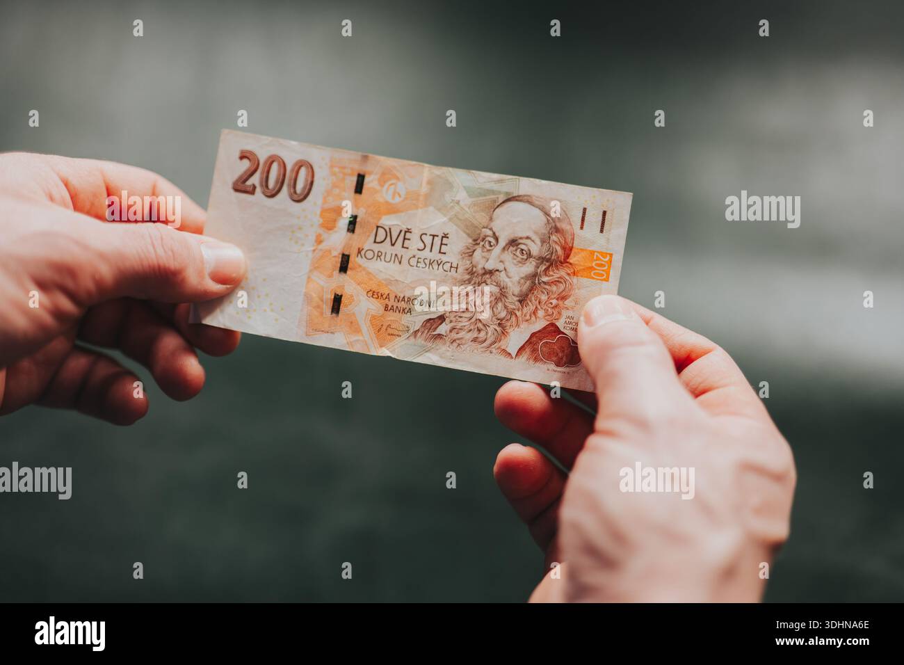 Hände, die tschechische Kronen-Banknoten halten und zählen. Konzept der persönlichen Finanzierung, Barzahlung, Budgetierung, Sparen, Inflation und Geldmanagement in Stockfoto
