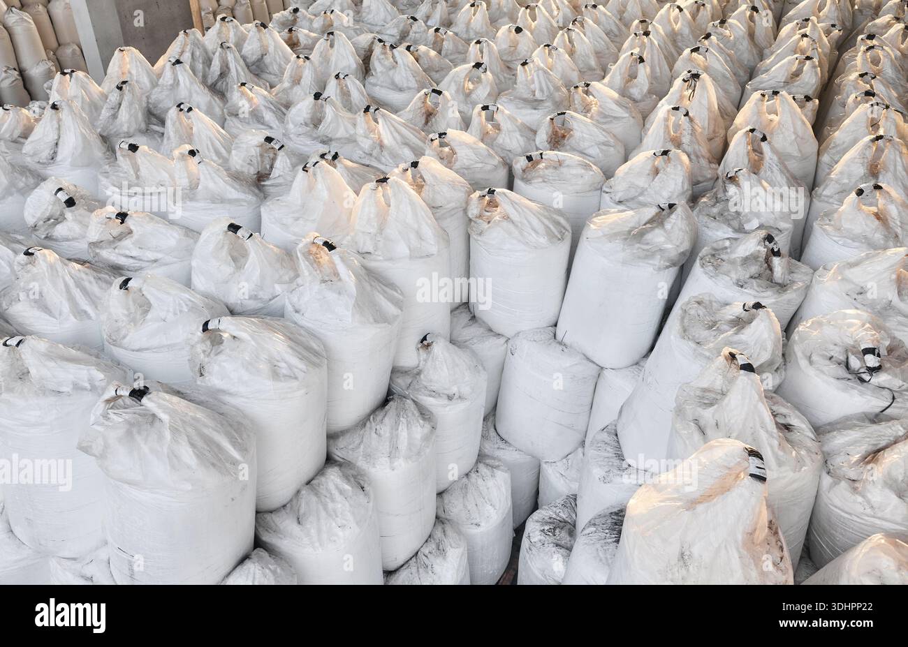 Big Bags zur Lagerung und zum Transport von Düngemitteln, bekannt als FIBC, flexibler Zwischenbehälter. Stockfoto