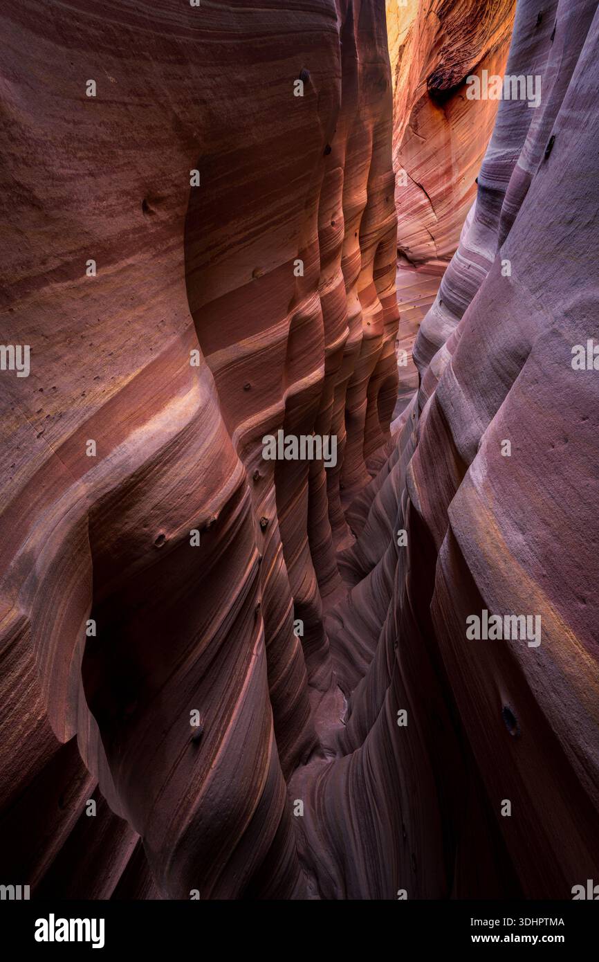 Der Blick auf die dramatischen Wände des Slot Canyon, die mit leuchtenden Orange-, Lila- und weißen Sandsteinen durchzogen sind, schafft eine ätherische Landschaft in Escalante, Utah Stockfoto