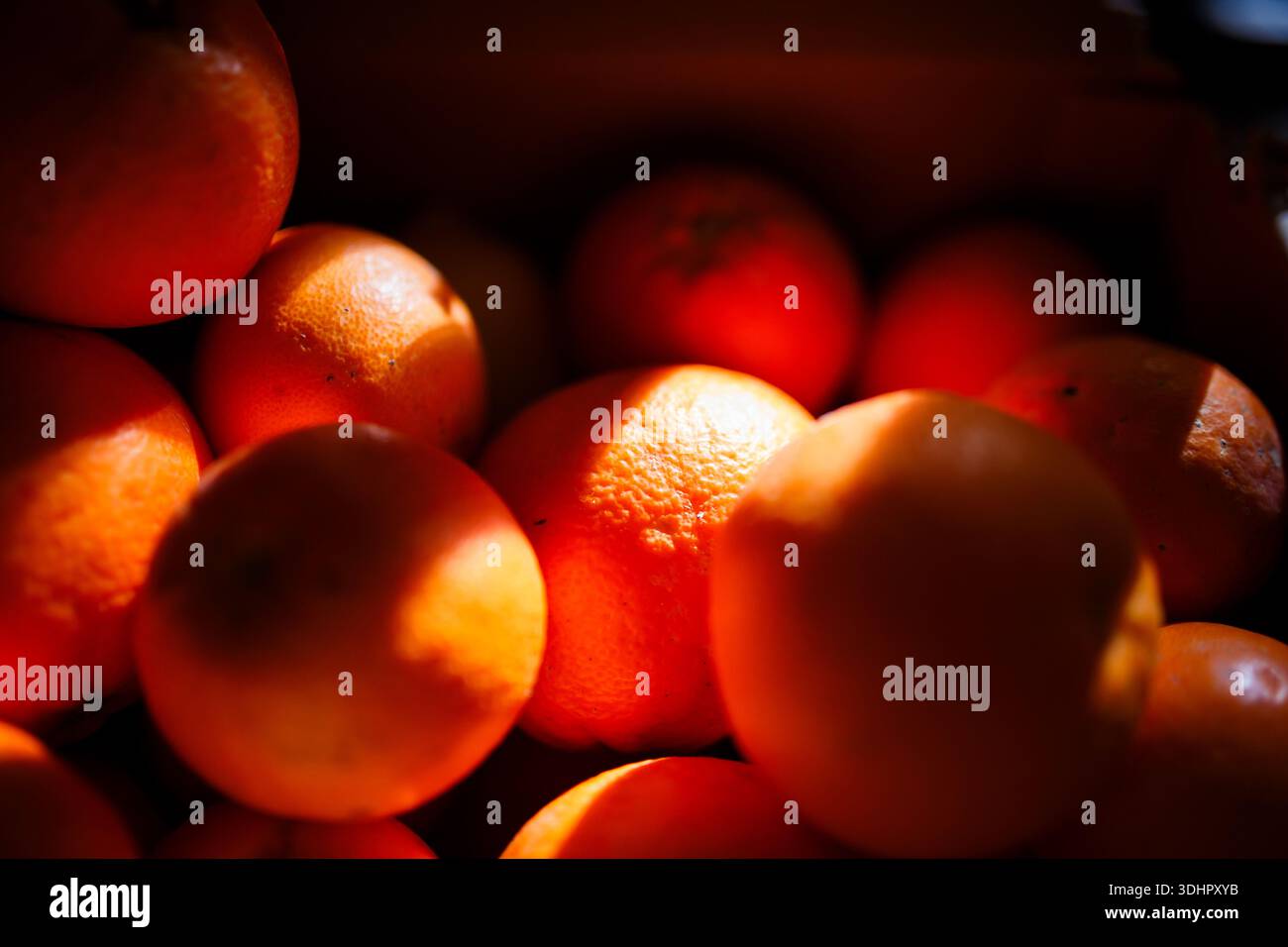 Dramatische Chiaroscuro-Zitruskomposition in Villajoyosa Stockfoto