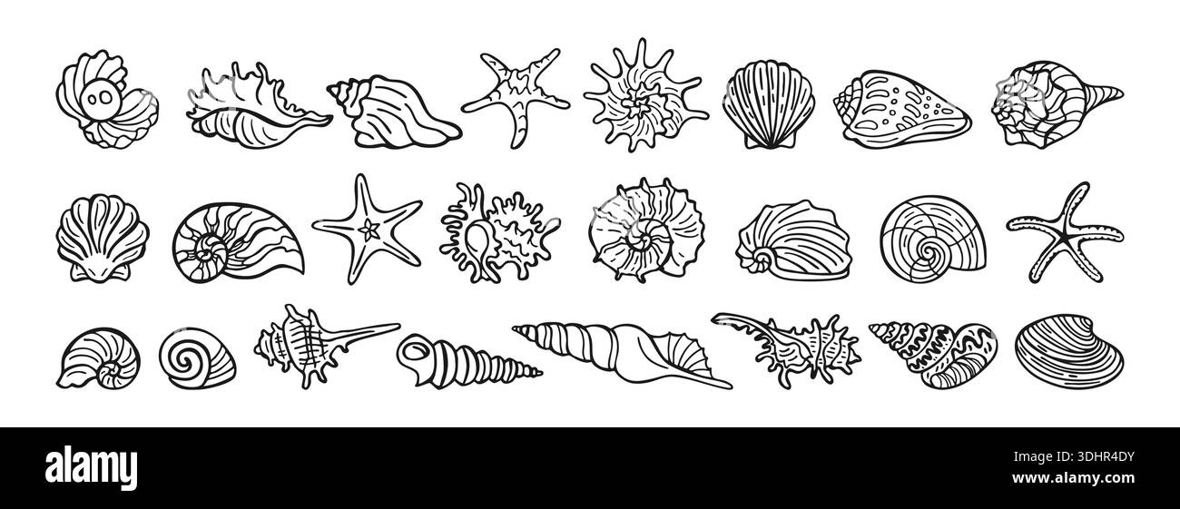 Set von verschiedenen Muscheln und Seesternen in moderner Umrissform Doodle-Stil Hand gezeichnete Vektor-Illustration. Sommer Ozean und Strand Themen Meereselemente isoliert perfekt für Küstenurlaub tropische Designs Stock Vektor