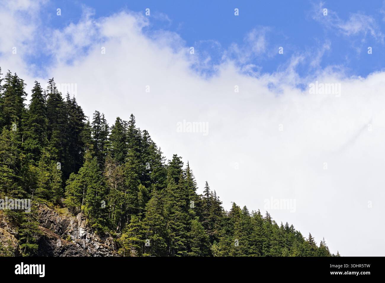 Im Mount Rainier National Park erhebt sich ein grüner, bewaldeter Kamm unter hellen Wolken und blauem Himmel, der immergrüne Hänge und den klassischen pazifischen Nordwesten zeigt Stockfoto