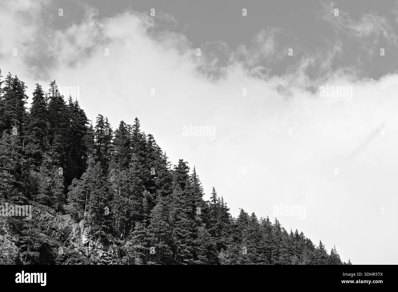 Im Mount Rainier National Park erhebt sich ein grüner, bewaldeter Kamm unter hellen Wolken und blauem Himmel, der immergrüne Hänge und den klassischen pazifischen Nordwesten zeigt Stockfoto