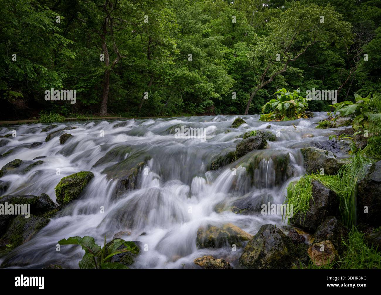 Blick auf rauschende Wasserkaskaden über moosige Felsen, eingerahmt von üppigem Grün, eine lebendige Darstellung der Schönheit der Natur, Steelville, Missouri, United Stat Stockfoto