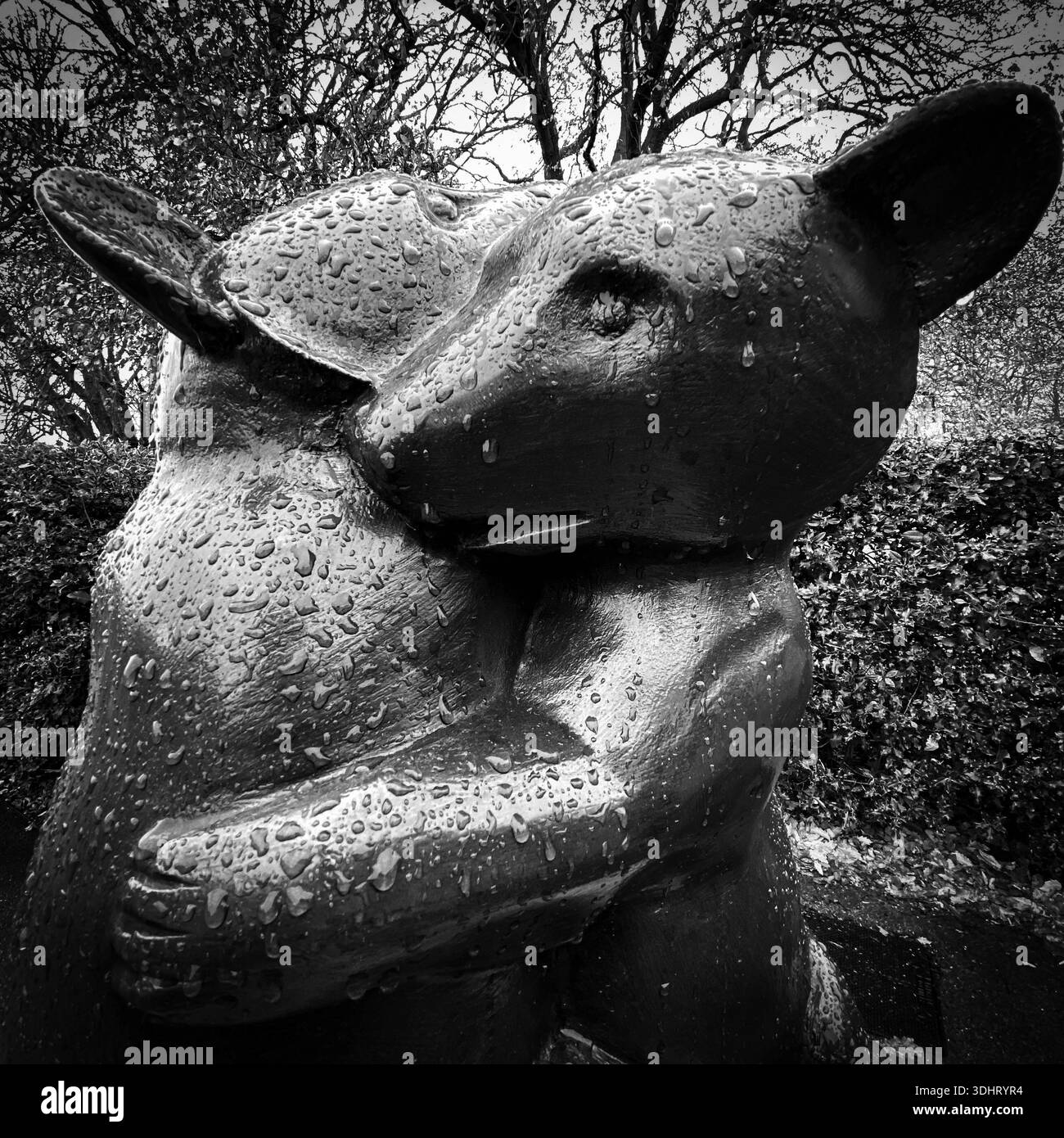 Two Bears Drinking Fountain, mit zwei kleinen, umarmten Bronzebären im Hyde Park - Smartphone-aufgenommenes Stockfoto