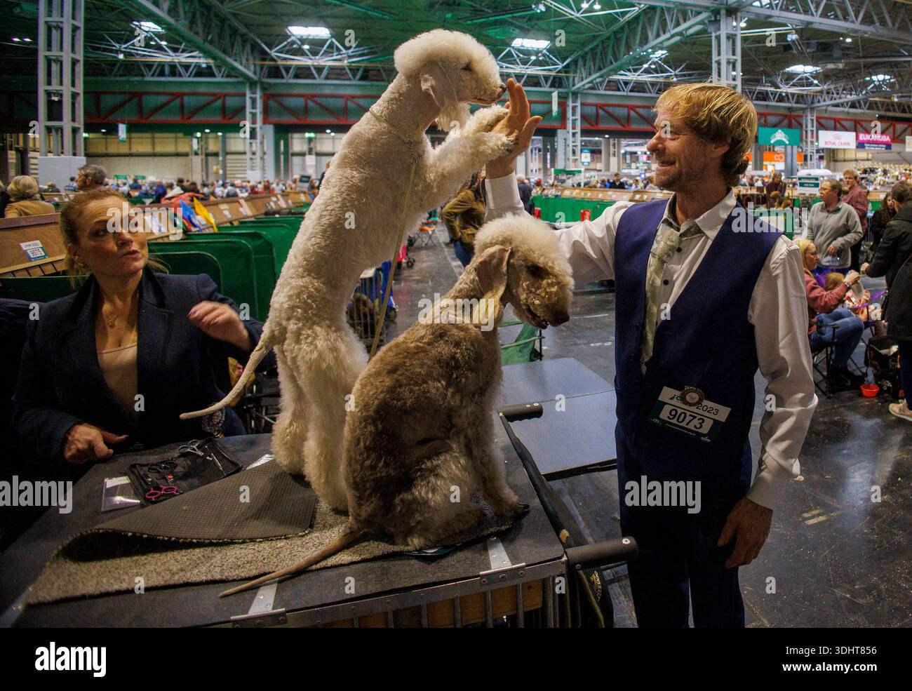 Vorbereitungen für die Veranstaltung. Tag der Crufts International Dog Show. Es ist die größte Hundeshow der Welt. Stockfoto