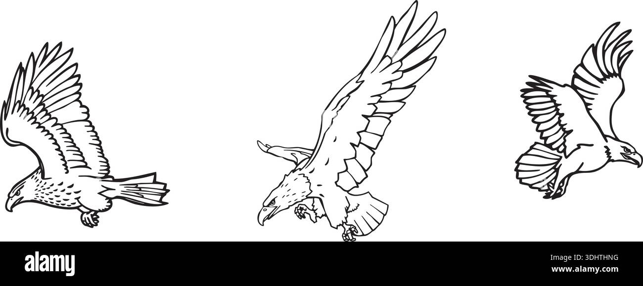 Majestätische Eagle Line Art Illustration | minimalistische Greifvogel-Umrisszeichnung Stock Vektor