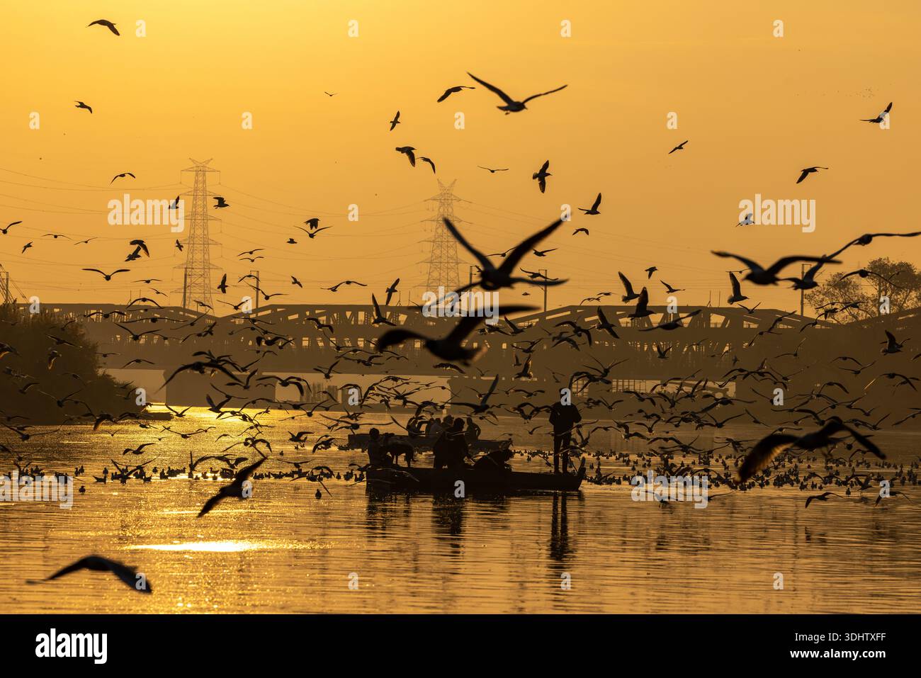 Blick auf eine faszinierende Vogelschar, die über einen ruhigen Fluss mit Brücke und Boot-Silhouetten vor einem goldenen Sonnenuntergangshimmel fliegen, Delhi, Delhi, Stockfoto