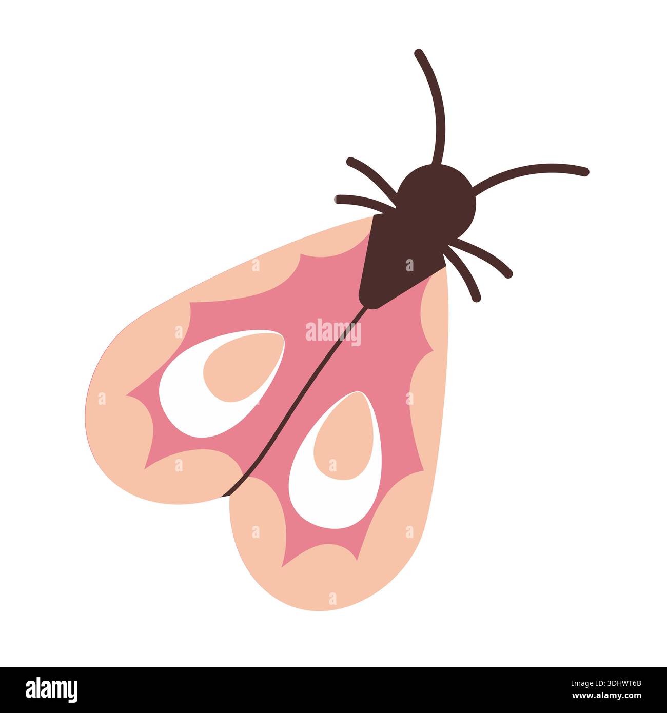 Rosafarbene Motte mit gefalteten Flügeln. Sommerfalter. Illustration des Frühlingsinsekts. Wunderschöne handgezeichnete tropische Sommermotten. Flacher STYLE. Stock Vektor