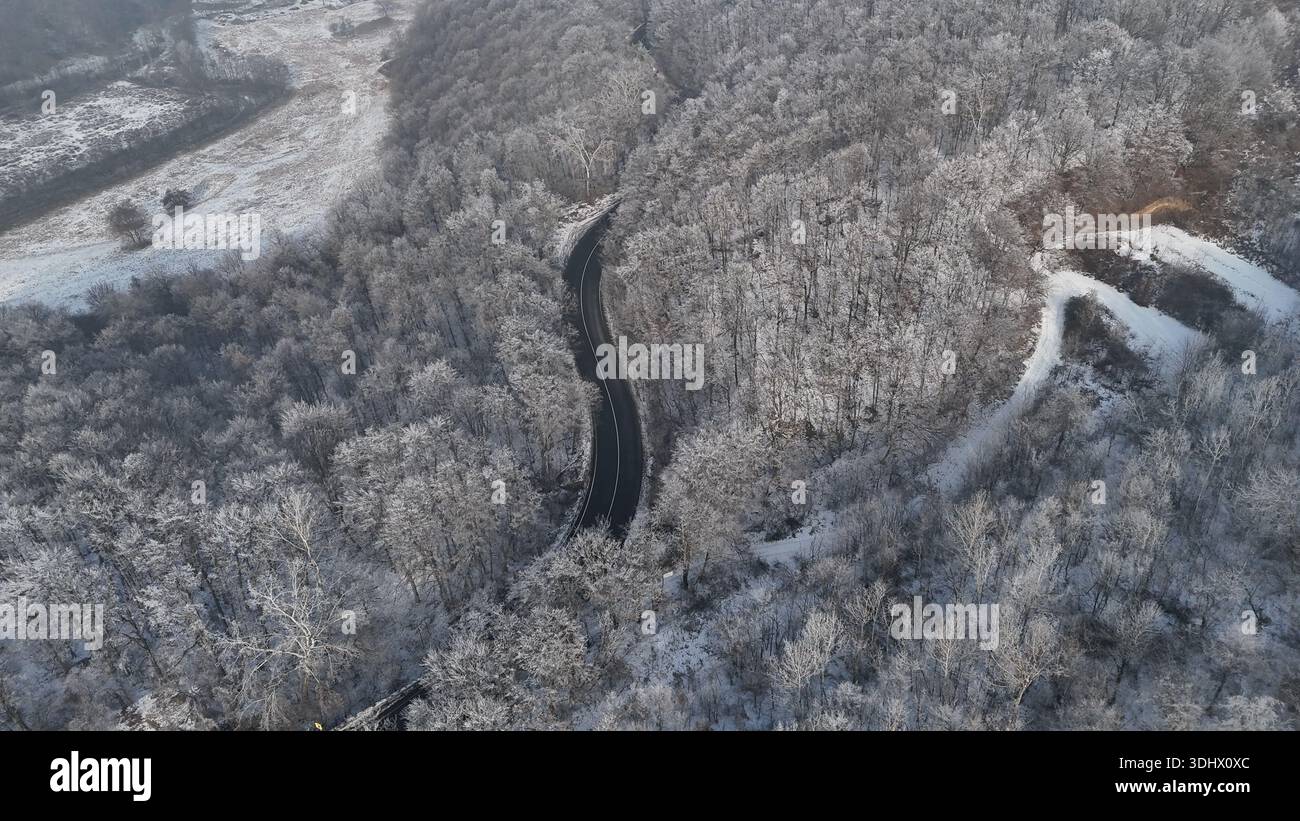 Blick aus der Vogelperspektive auf die Waldlandschaft, im Winter mit gefrorenen weißen Bäumen Stockfoto