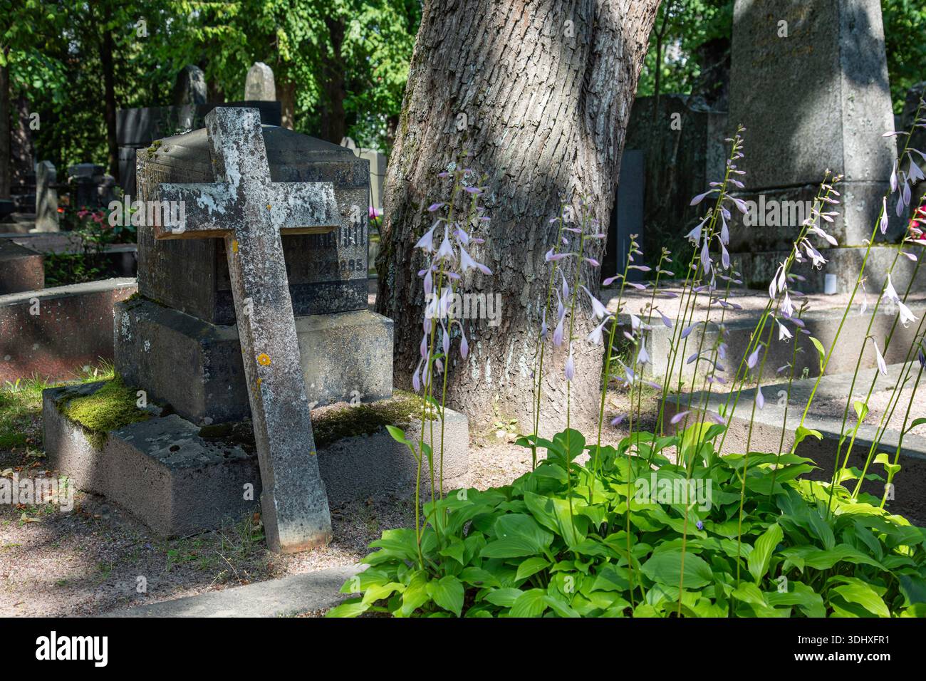 Gefallenes Steinkreuz, das sich gegen den Grabstein auf dem Hietaniemi-Friedhof in Helsinki, Finnland, lehnt Stockfoto