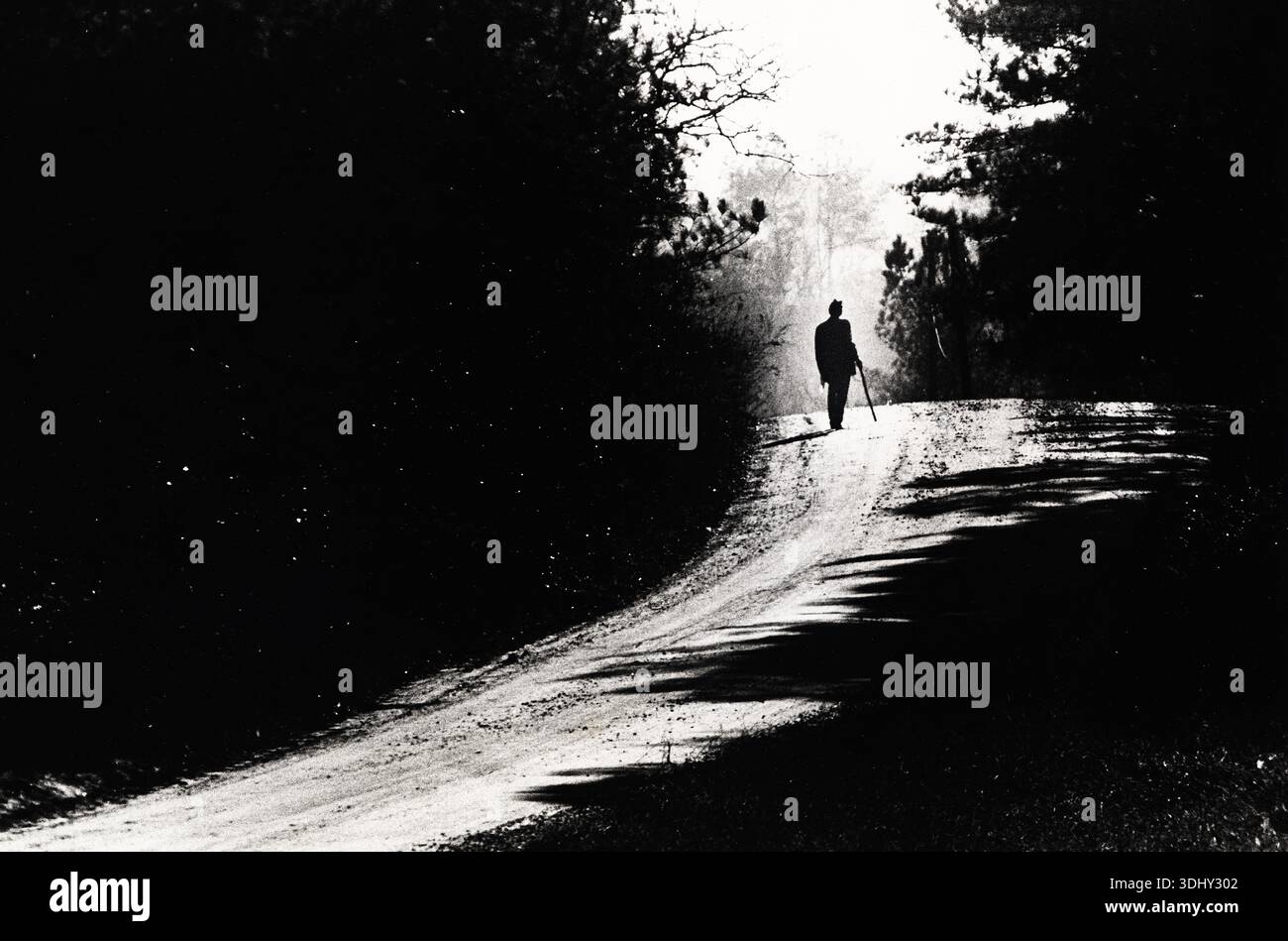 Ein älterer Mann mit Hut und Stock läuft auf einer einsamen Feldstraße im Süden. Stockfoto