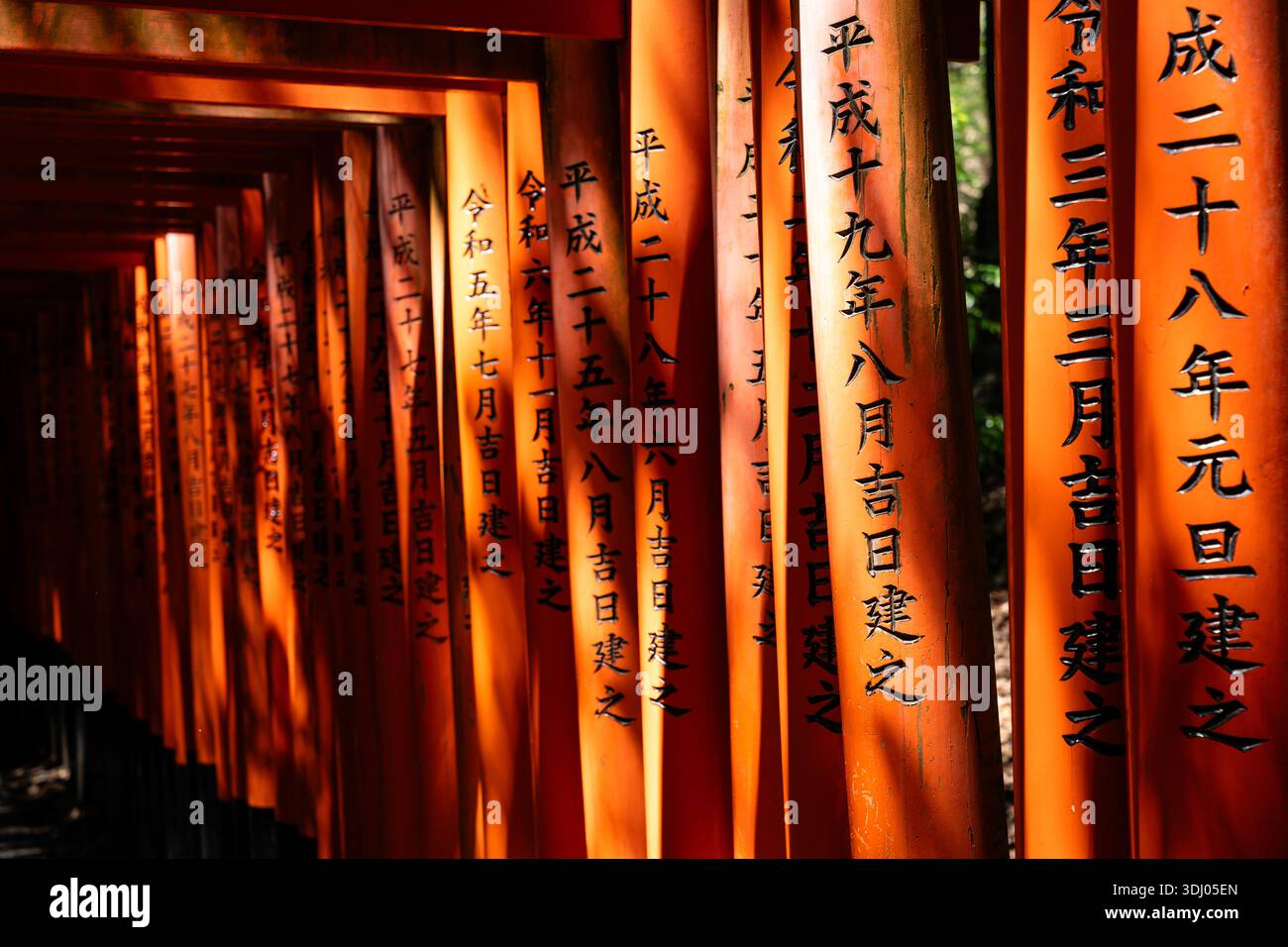 Legendärer Tunnel mit rotem Shinto-Torii-Tor auf dem japanischen Waldweg Stockfoto