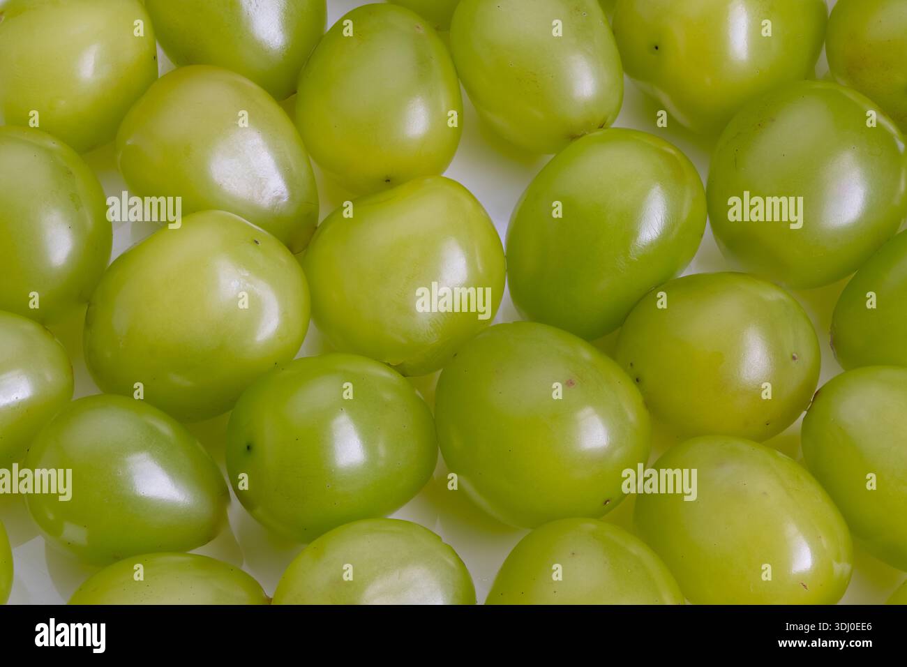 Süße grüne Trauben, bereit zum Naschen, geclusterte glatte Kugeln mit leichtem Glanz und lebendigen Farben, vermitteln eine gesunde Snackidee, perfekt für Picknick, Di Stockfoto