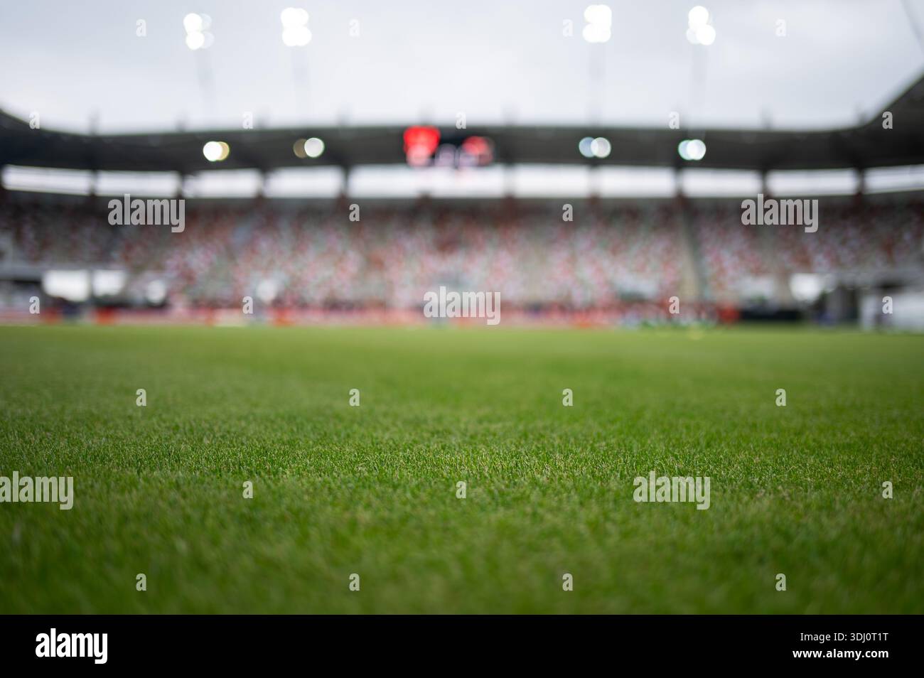 Gras im Fußballstadion Stockfoto