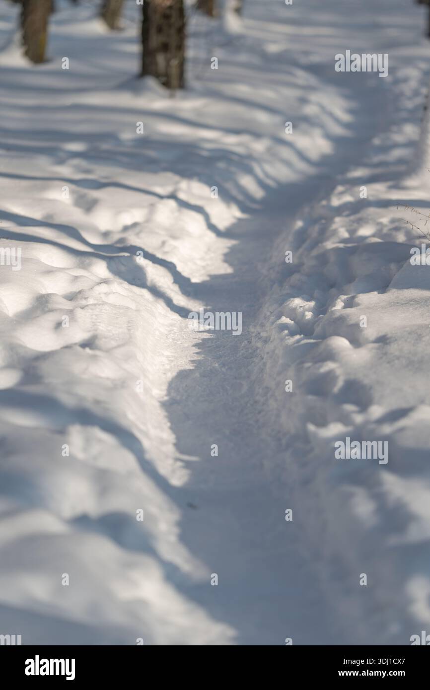 Pfad im Schnee, verwinkelter verschneite Waldweg, kurviger Weg durch winterliche Waldlandschaften, schlängelnder Kurs durch verschneite Wälder mit schwachem Fußabdruck mA Stockfoto