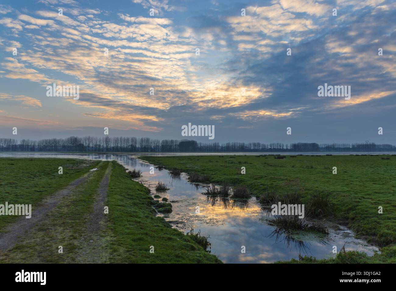 Schotterpfad und schmaler Kanal, der sich durch überflutete Felder unter einem dramatischen Sonnenaufgangshimmel schlängelt Stockfoto