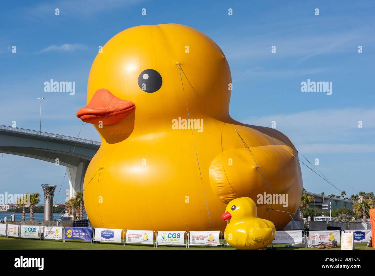 Weltgrößte gummiente -Fotos und -Bildmaterial in hoher Auflösung – Alamy