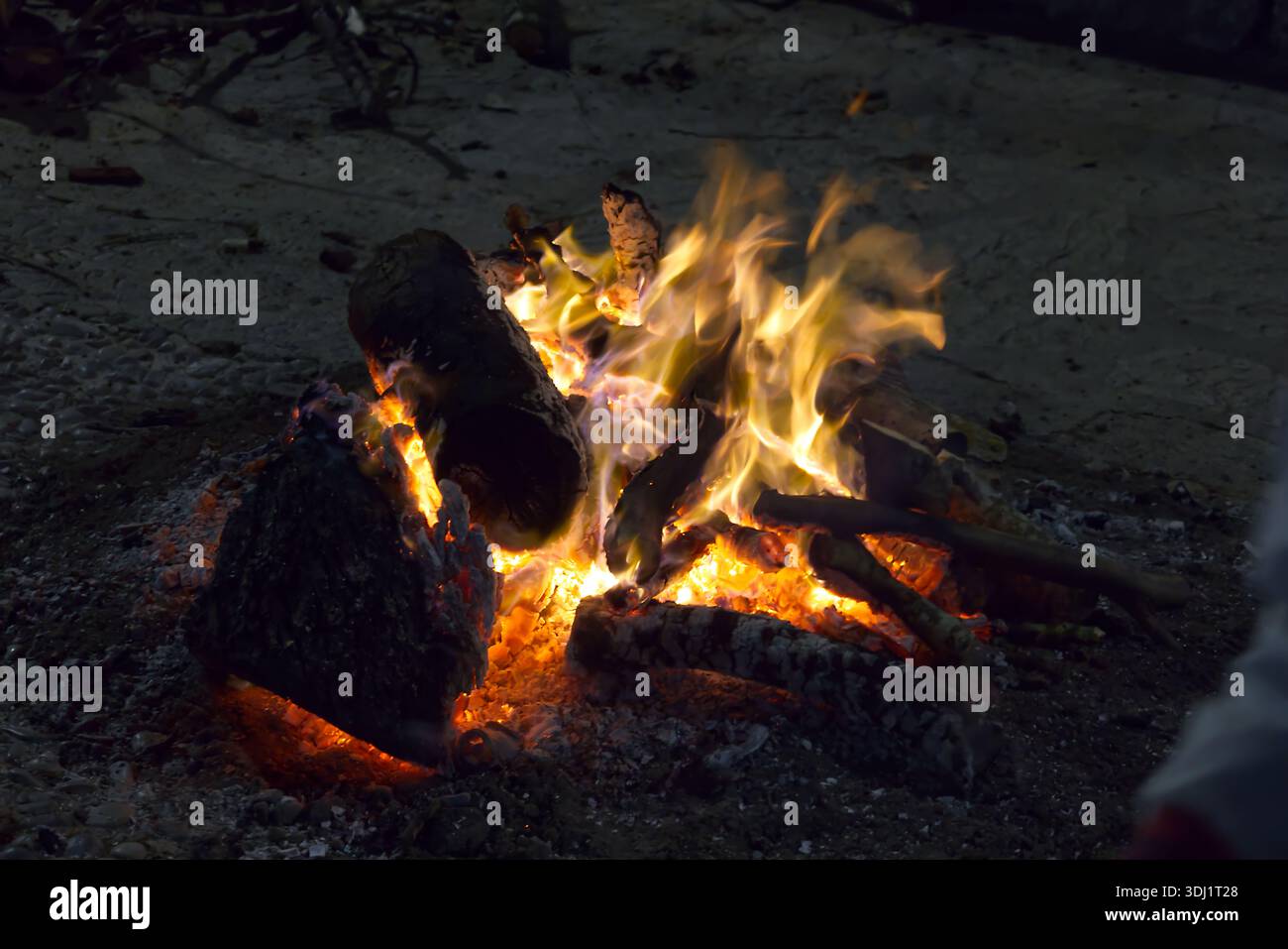 Ein traditionelles fogueró (Lagerfeuer), das nachts in Port de Pollenca, Mallorca, während des Winterfestes von Sant Antoni brennt Stockfoto
