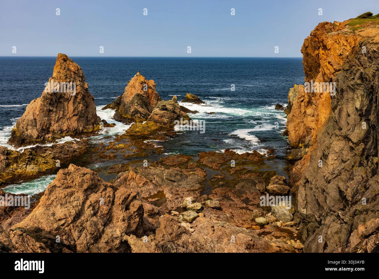Spiller's Cove Trail in Twillingate, Neufundland, Kanada Stockfoto