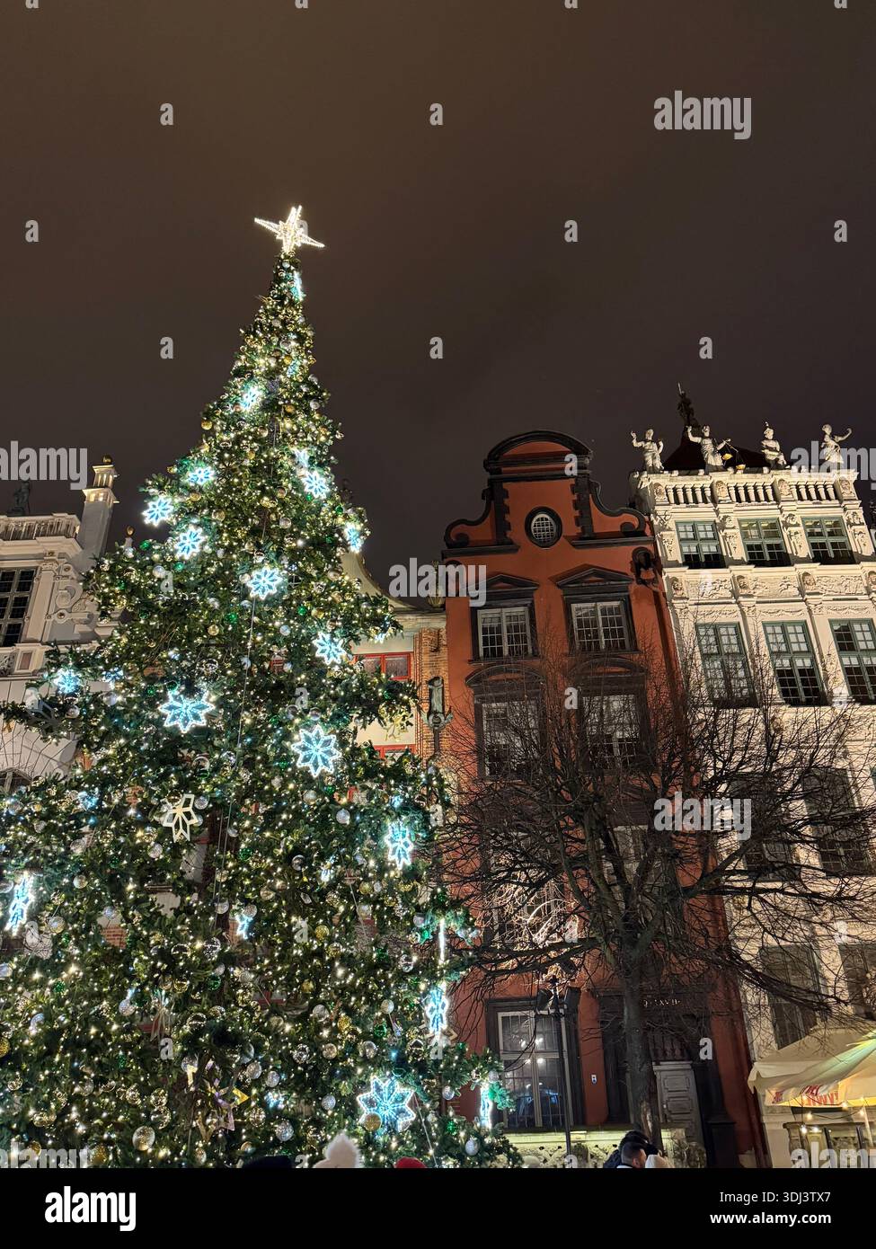 Großer Weihnachtsbaum in der Altstadt von Gdańsk, umgeben von historischen Stadthäusern. - Smartphone-aufgenommenes Stockfoto