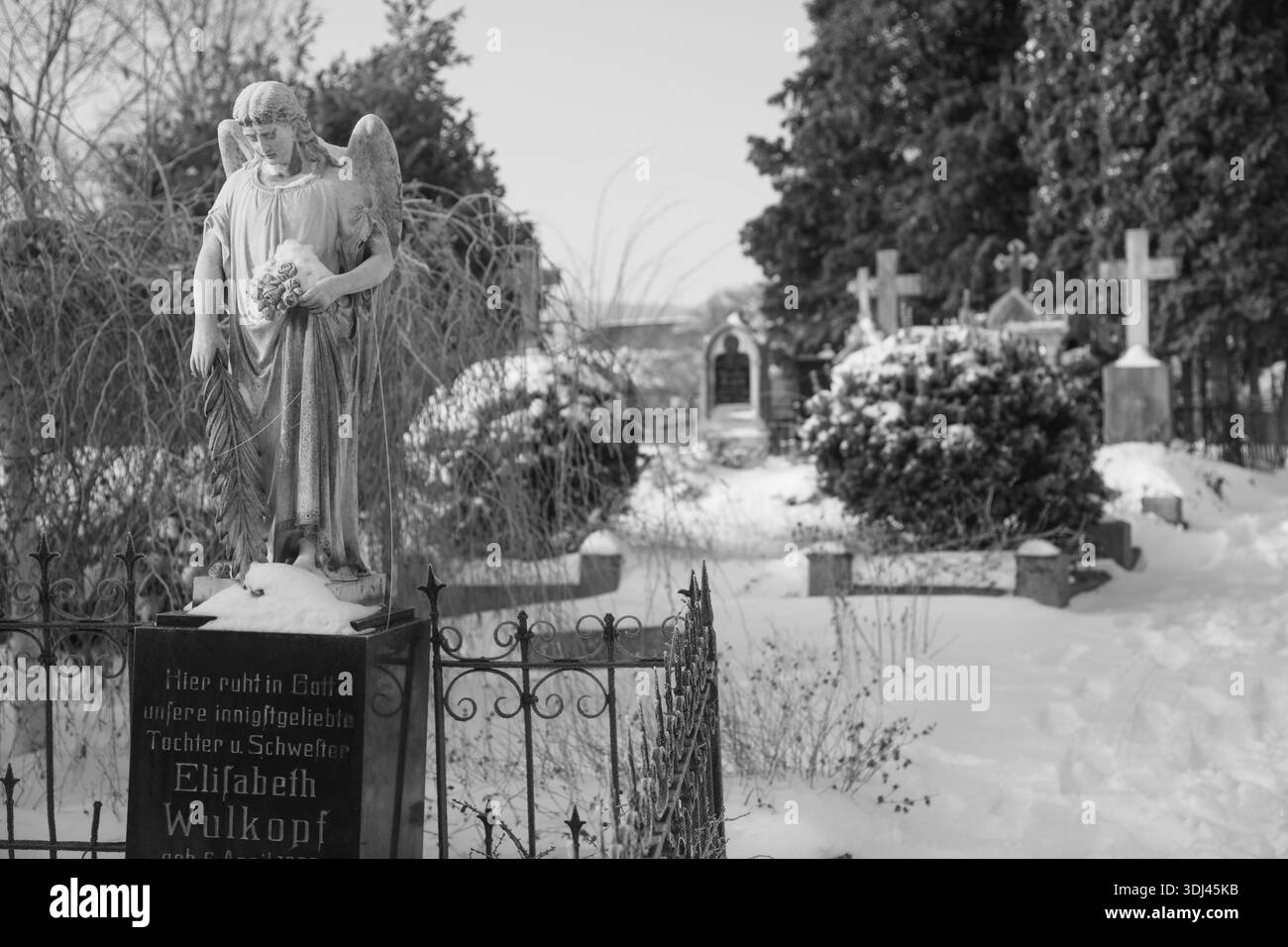 Engel mit Palmenzweig und Blumen auf Grabstein, historischer Friedhof in der Marienkirche, Lüdersen Bergdorf schneit im Winter nach Schneesturm E Stockfoto