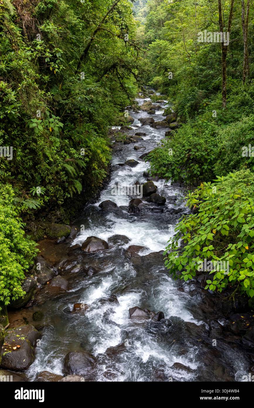 Fluss La Paz - Provinz Alajuela, Costa Rica Stockfoto
