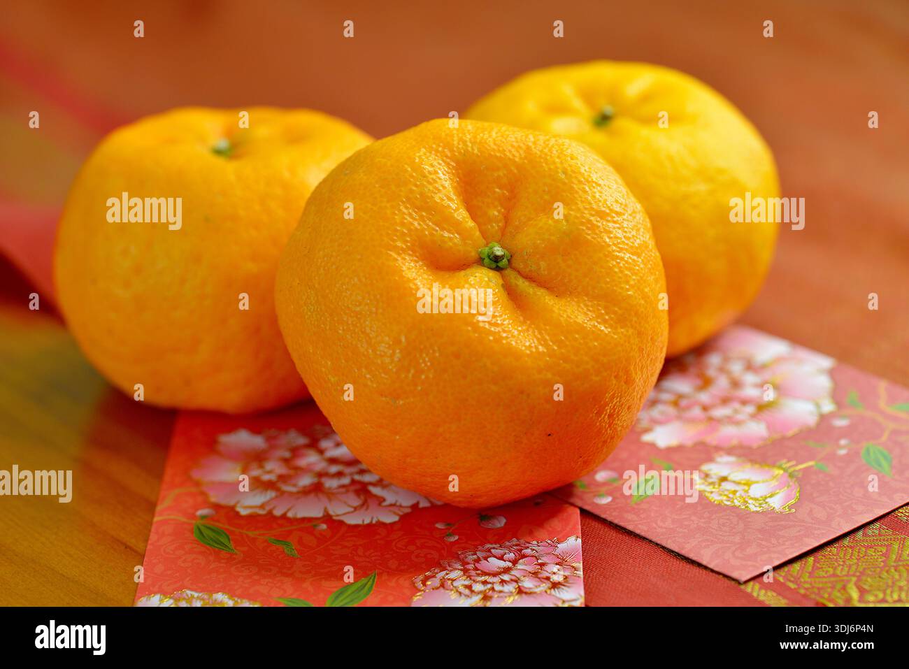 Lukan-Mandarinen (Citrus reticulata) und rote Umschläge, die mit Pfingstrosenblüten verziert sind, um das chinesische Neujahrsfest zu feiern Stockfoto