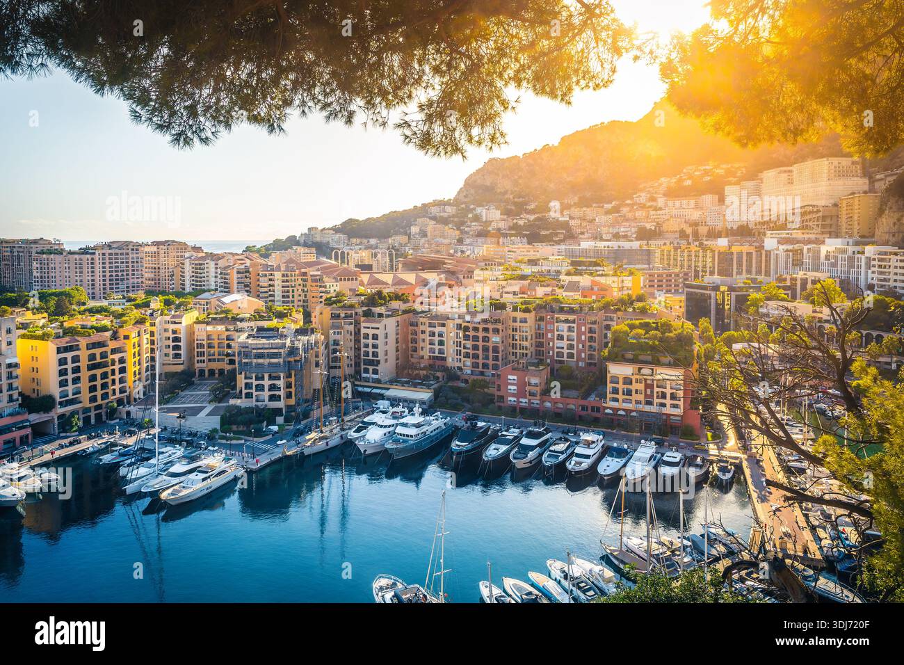 Blick auf den berühmten Hafen von Fontvieille mit festgefahrenen Yahts von einem der schönsten Aussichtspunkte von Monte Carlo bei Sonnenuntergang, Monaco, Europa Stockfoto