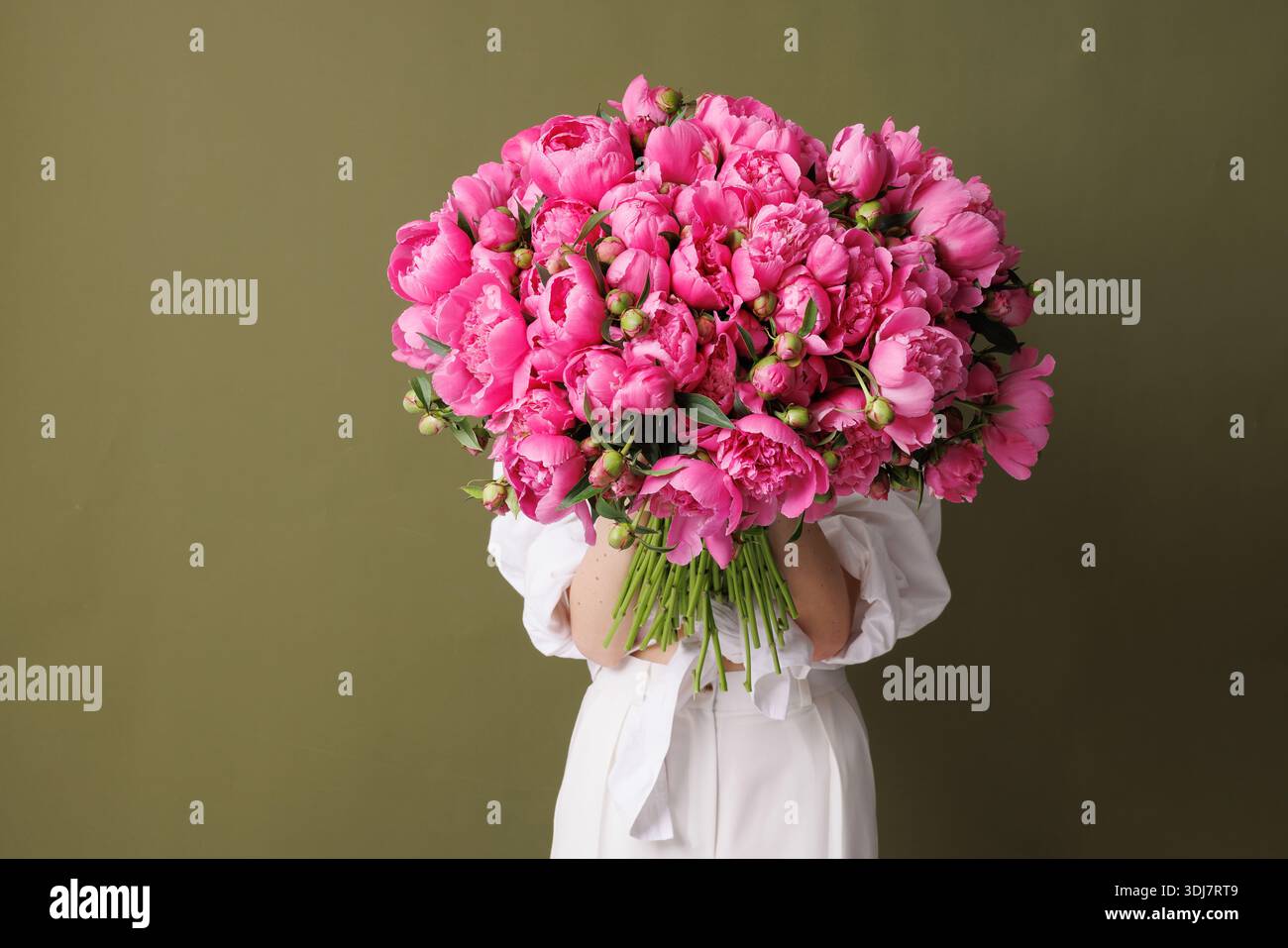 Großer Strauß rosafarbener Pfingstrosen, gehalten von einer Frau in weiß vor olivgrünem Hintergrund. Stockfoto