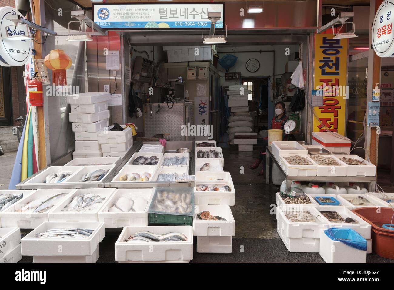 Seoul, Südkorea: Frische Meeresfrüchte werden in Schaumstoffboxen auf dem traditionellen Fischmarkt im Viertel Daerim Chinatown präsentiert Stockfoto