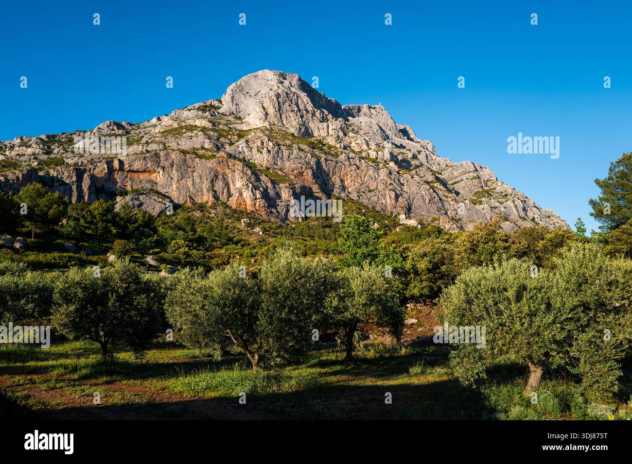 MOUNT SAINTE VICTOIRE AIX EN PROVENCE FRANKREICH Stockfoto