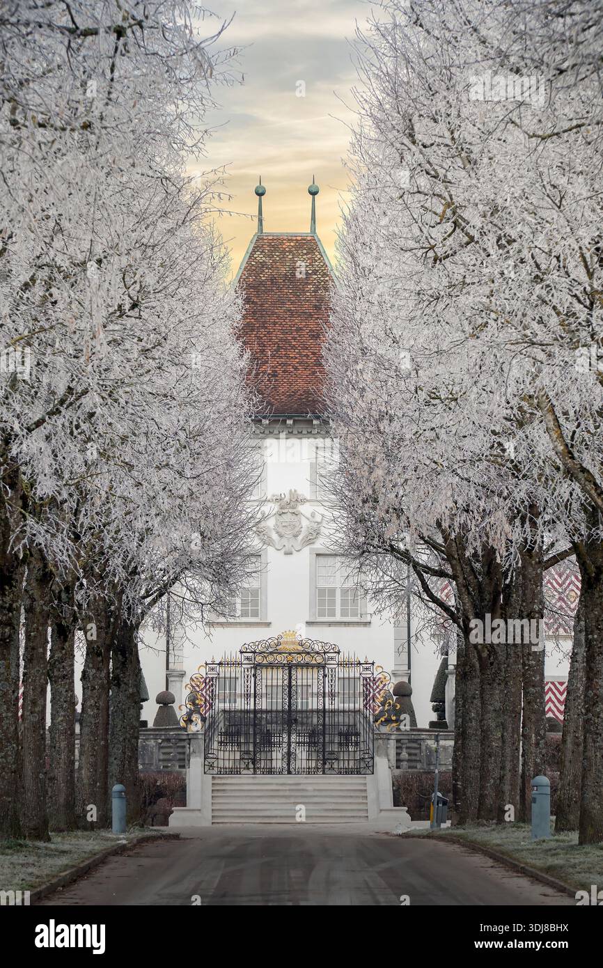Schweiz, Solothurn, Feldbrunnen-St. Niklaus, Barockschloss, Schloss, Schloss Waldegg, Museum, Café, bewohnt, Sommerresidenz Stockfoto