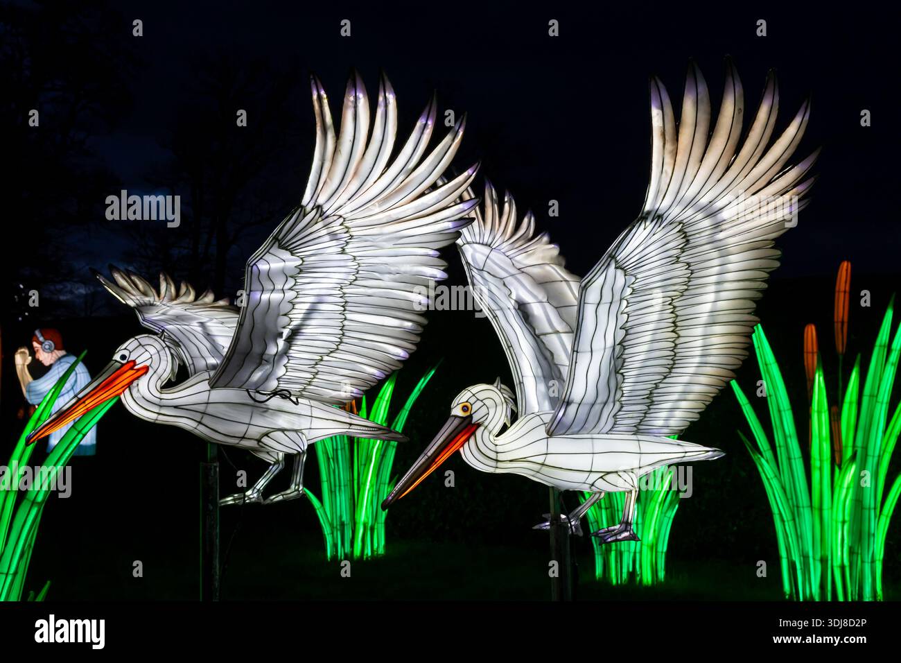 Longleat Festival of Light, Longleat Estate, Warminster, 01/2026 Stockfoto