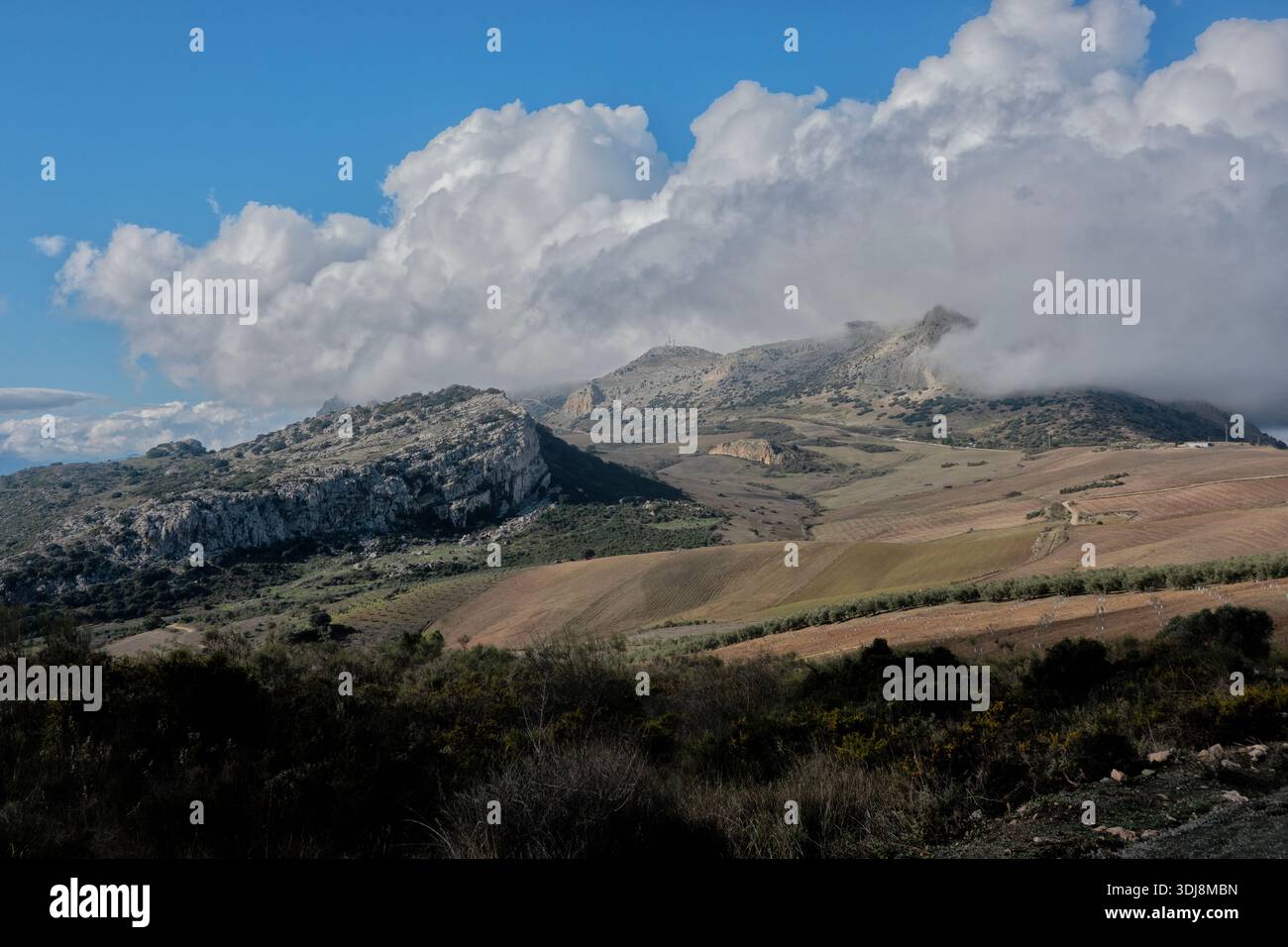 Blick auf das Naturschutzgebiet El Torcal de Antequera, Andalusien, Spanien Stockfoto