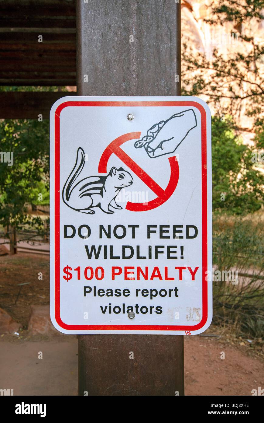 Kein Tierschutzschild im Zion-Nationalpark, Utah, USA Stockfoto