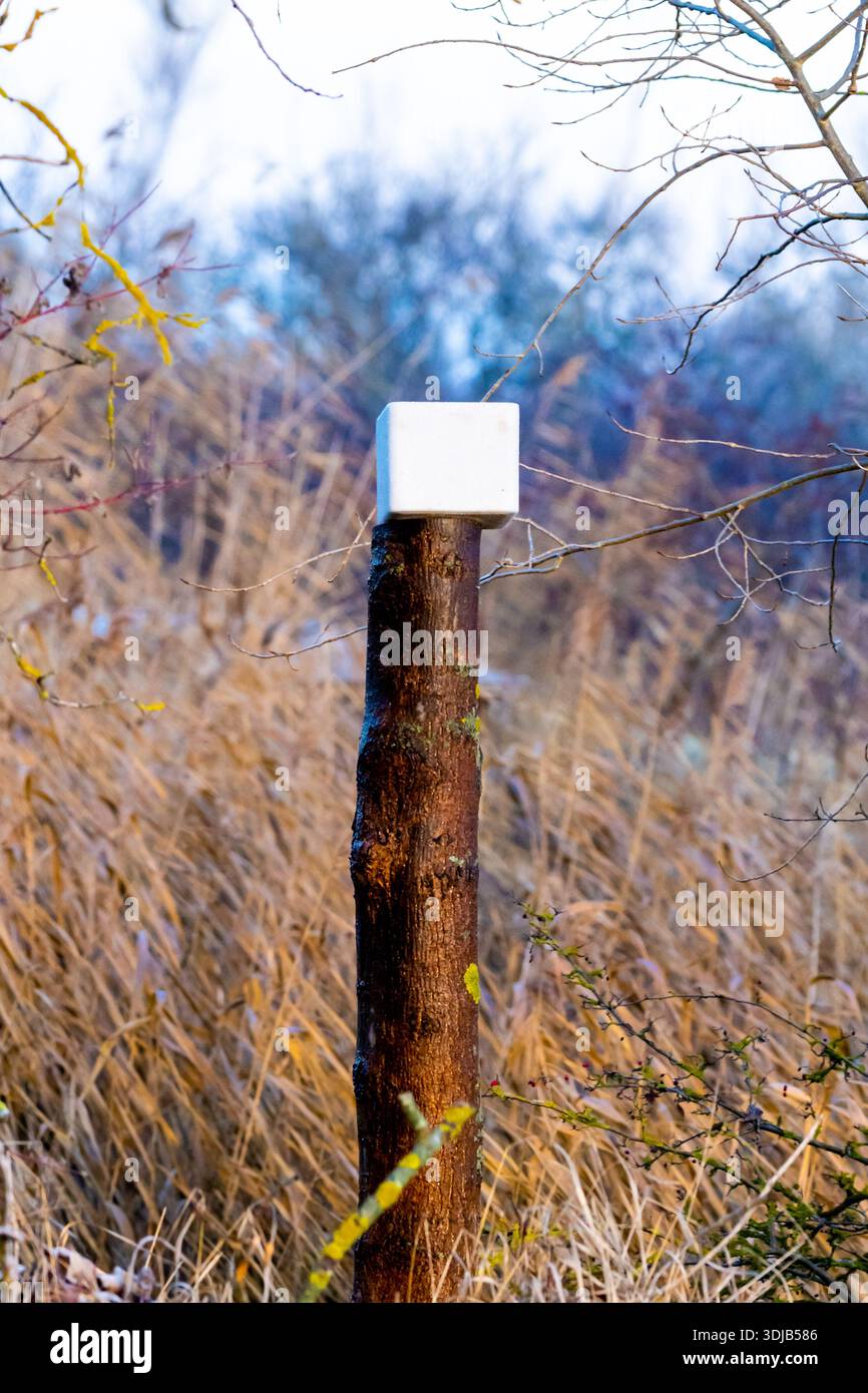 Ein Salzleckstein in einer Waldumgebung, der von Wildtieren als Mineralstoff verwendet wird. Neutrale Darstellung ohne Jagdtätigkeit oder Anwesenheit von Personen. S Stockfoto