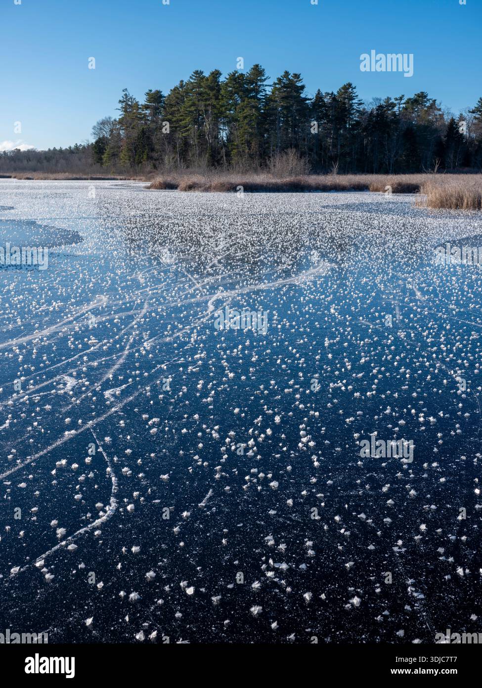 Gefrorener Teich mit Eiskristallen in Maine Stockfoto