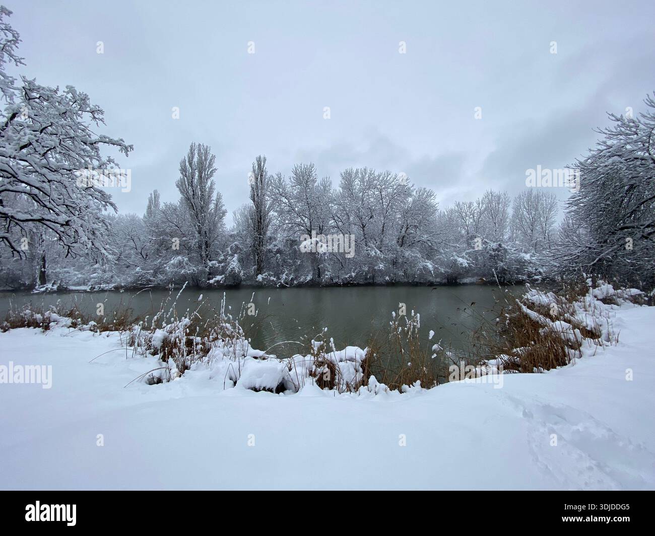 Winterlandschaft mit niedriger Sonne, die durch dramatische Wolken über einem nebeligen Fluss scheint, schneebedecktem Fluss und gefrorenem Schilf an einem kalten Morgen. - Smartphone-aufgenommenes Stockfoto