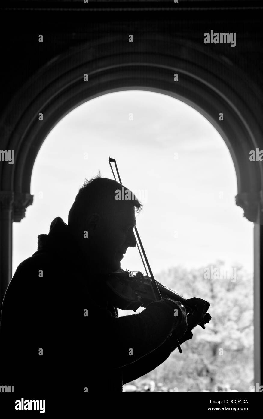 NEW YORK, NEW YORK - 11. APRIL 2025: Ein anonymer Straßenbusker spielt Violine und befindet sich in einem der Bögen der Bethesda Terrace im Central Park Stockfoto