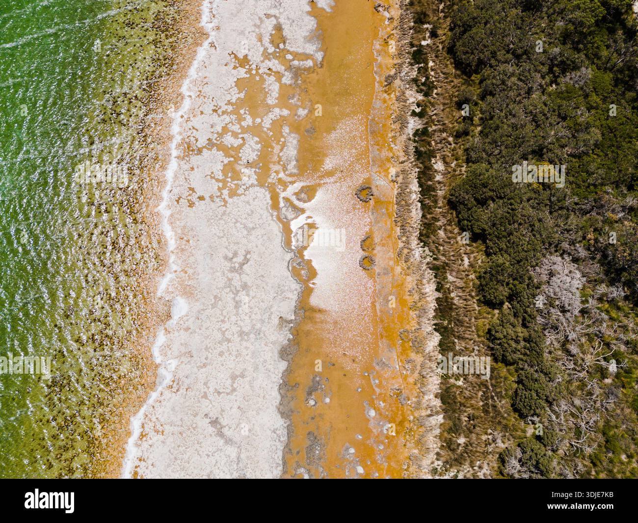 Aus der Vogelperspektive des beeindruckenden Kontrastes zwischen dem grünen Wasser, dem weißen Sandstrand und der dunklen Vegetation entlang der Küste am Lake Clifton, Western Australia Stockfoto