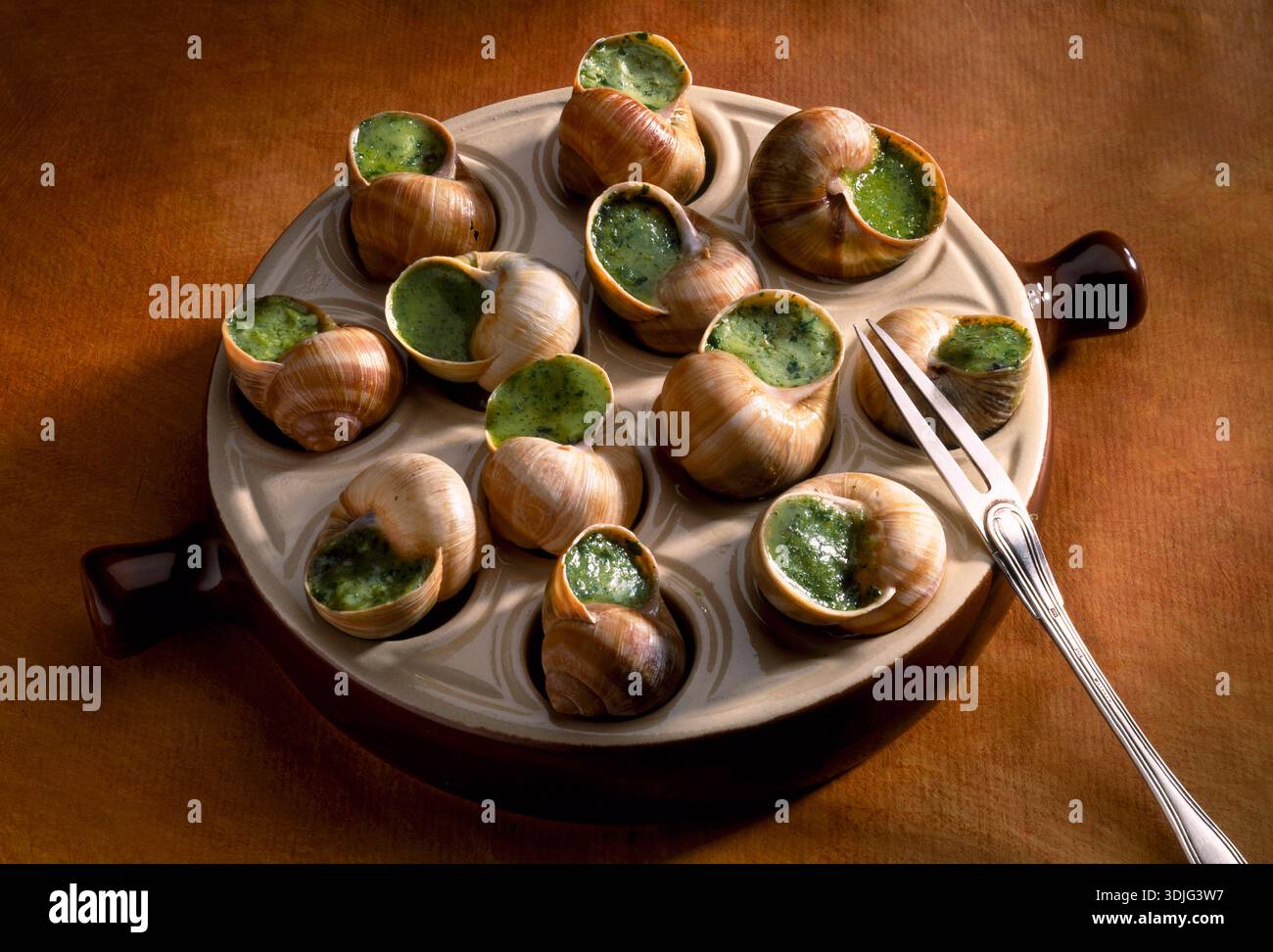 Schnecken aus Burgund Stockfoto