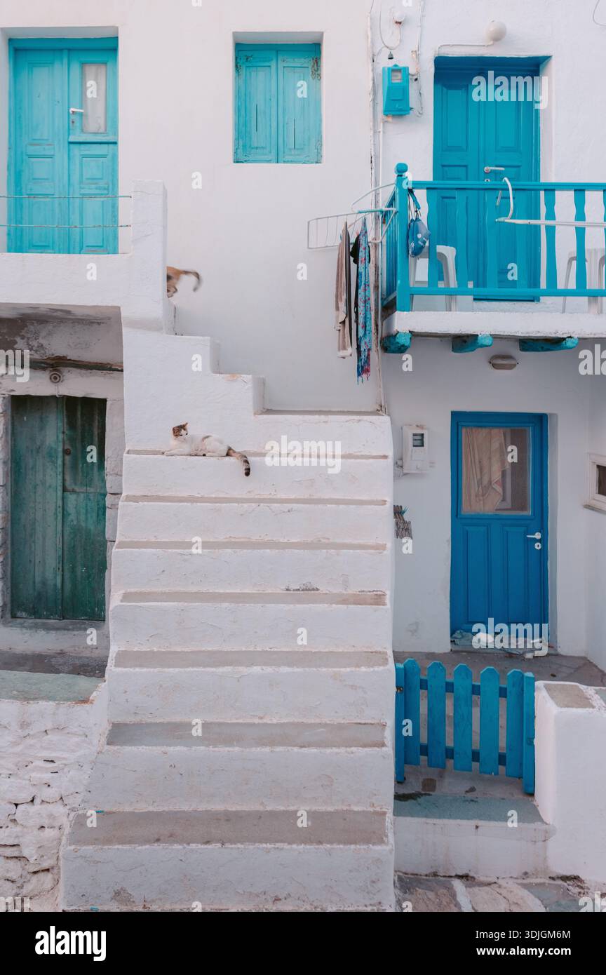Eine Katze ruht auf weißen Treppen, eine andere bewegt sich durch blaue Türen Folegandros Stockfoto