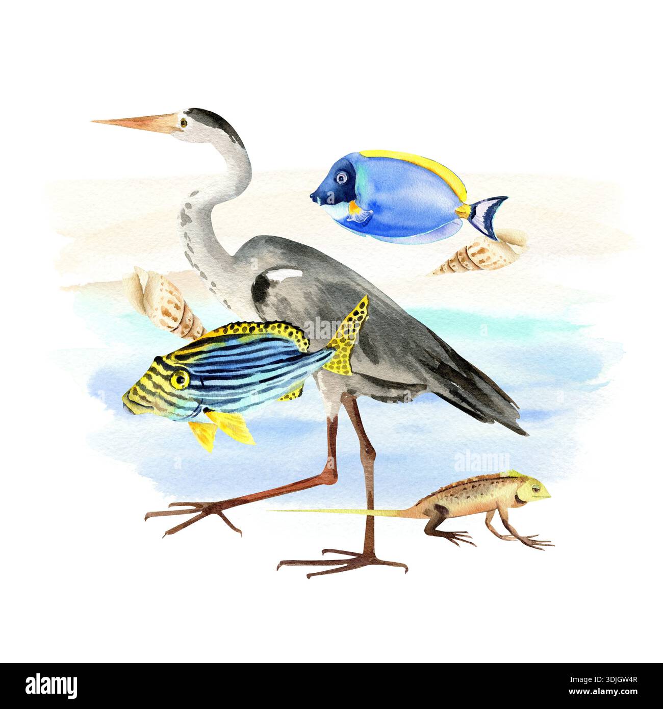 Wasserfarben tropische Fische, Graureiher, Eidechse, Muscheln gegen blauen Spritzer, handgezeichnete helle Unterwassertiere, Vogel, Reptilien, Tierwelt der Inseln von Stockfoto